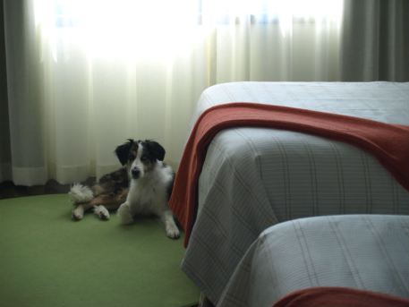athensblog4