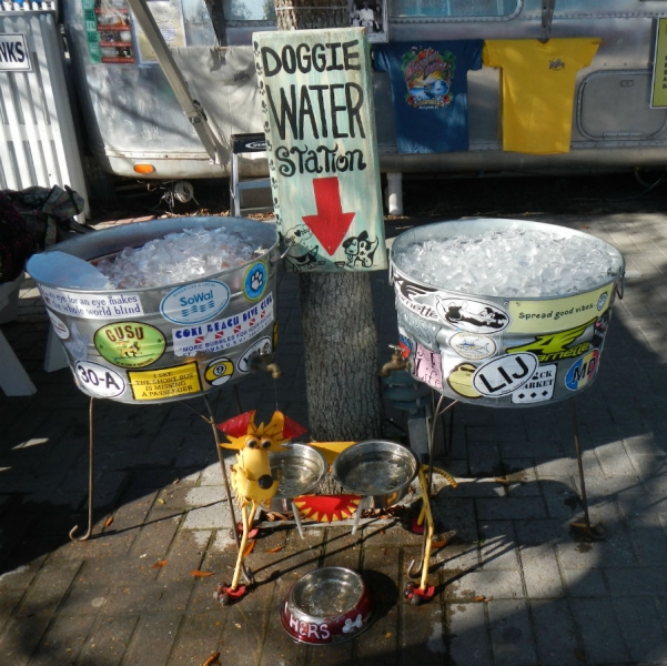 dogwaterstation